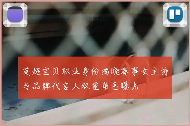 英超宝贝职业身份揭晓赛事女主持与品牌代言人双重角色曝光