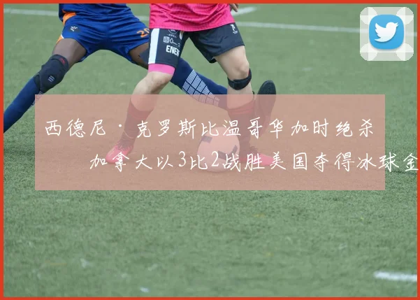 西德尼·克罗斯比温哥华加时绝杀助加拿大以3比2战胜美国夺得冰球金牌