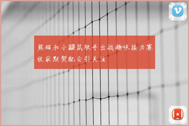熊猫和小鼹鼠联手出战趣味接力赛收获默契配合引关注