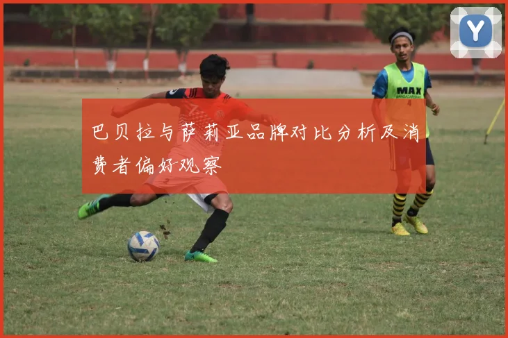 巴贝拉与萨莉亚品牌对比分析及消费者偏好观察