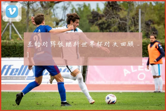王皓对阵张继科世界杯对决回顾 _1