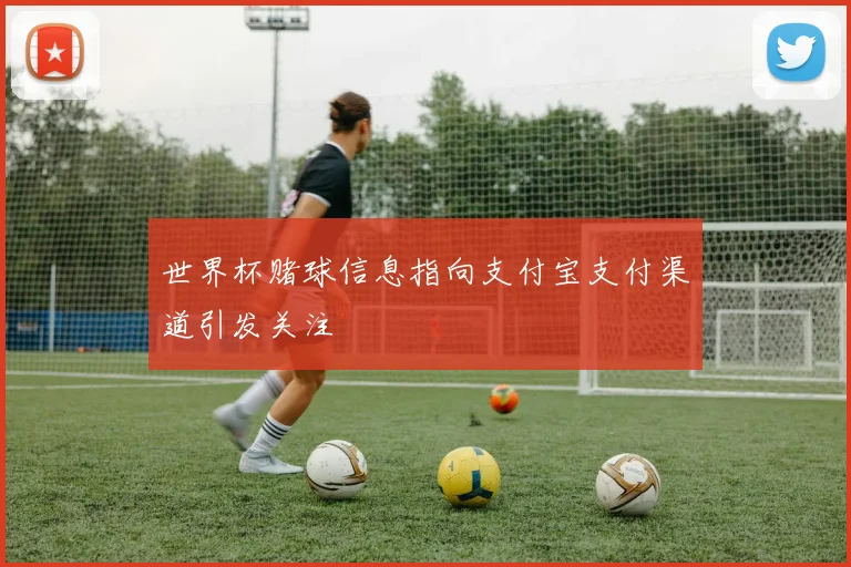 世界杯赌球信息指向支付宝支付渠道引发关注