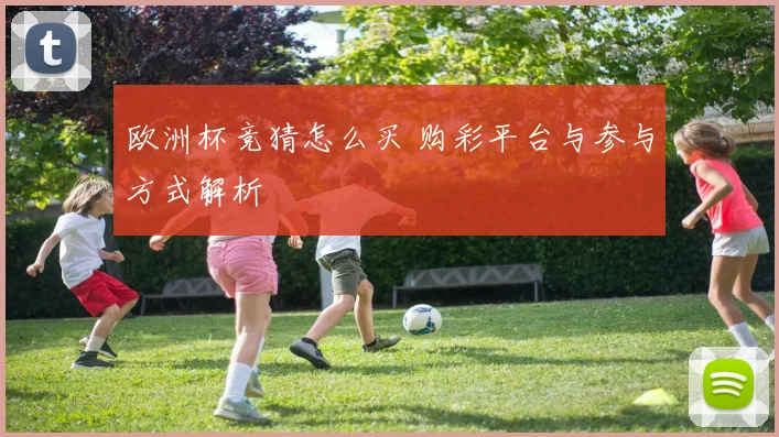 欧洲杯竞猜怎么买 购彩平台与参与方式解析