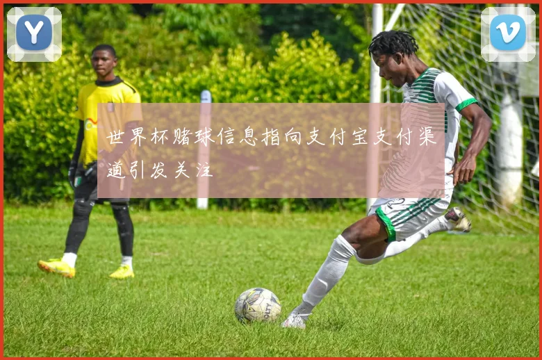 世界杯赌球信息指向支付宝支付渠道引发关注